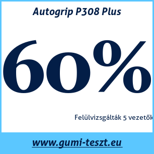 Nyári gumi teszt Autogrip P308 Plus