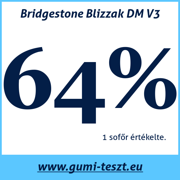 Test pneumatik Bridgestone Blizzak DM V3
