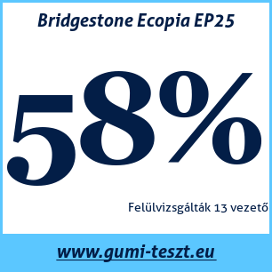 Nyári gumi teszt Bridgestone Ecopia EP25