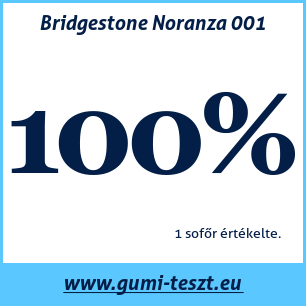 Téli gumi teszt Bridgestone Noranza 001