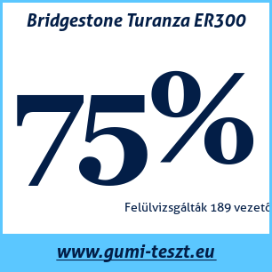 Nyári gumi teszt Bridgestone Turanza ER300