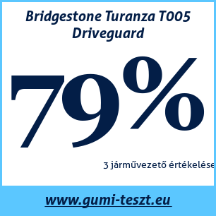 Nyári gumi teszt Bridgestone Turanza T005 Driveguard