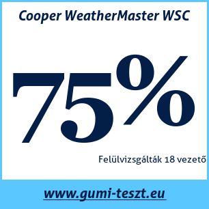 Téli gumi teszt Cooper WeatherMaster WSC