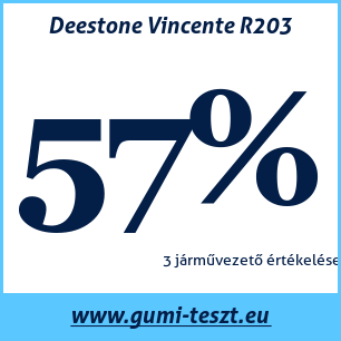 Nyári gumi teszt Deestone Vincente R203