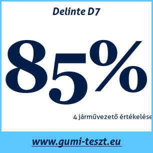 Négyévszakos gumi teszt Delinte D7