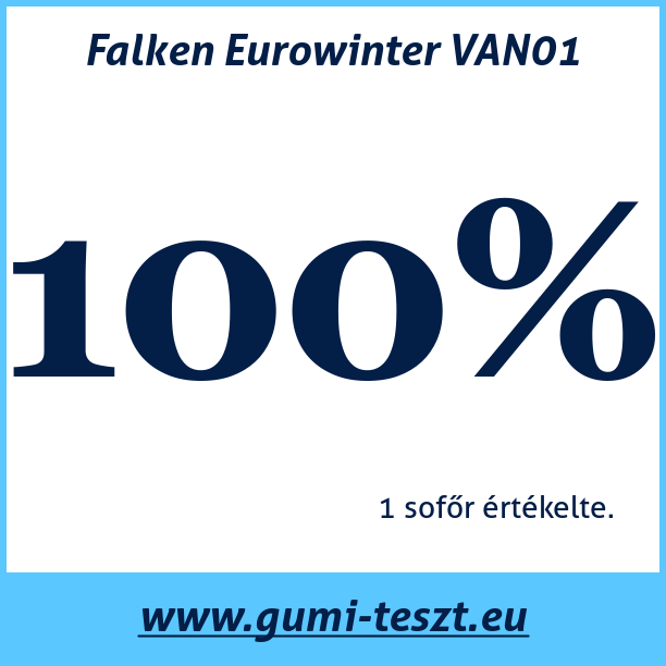 Test pneumatik Falken Eurowinter VAN01