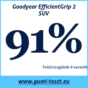 Nyári gumi teszt Goodyear EfficientGrip 2 SUV