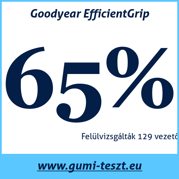Test pneumatik Goodyear EfficientGrip