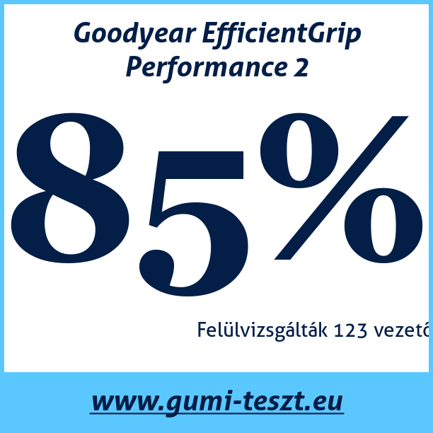 Test pneumatik Goodyear EfficientGrip Performance 2