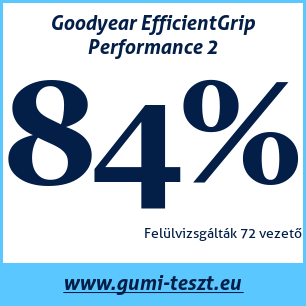 Nyári gumi teszt Goodyear EfficientGrip Performance 2