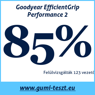 Nyári gumi teszt Goodyear EfficientGrip Performance 2