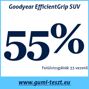 Nyári gumi teszt Goodyear EfficientGrip SUV