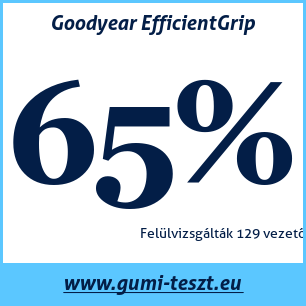 Nyári gumi teszt Goodyear EfficientGrip