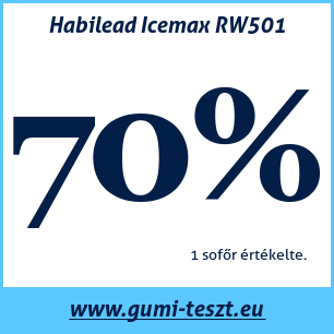 Téli gumi teszt Habilead Icemax RW501