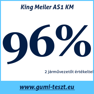 Négyévszakos gumi teszt King Meiler AS1 KM