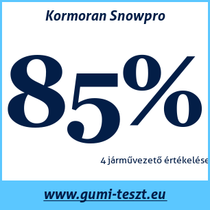 Téli gumi teszt Kormoran Snowpro