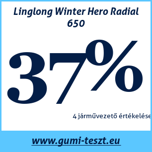 Téli gumi teszt Linglong Winter Hero Radial 650