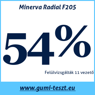 Nyári gumi teszt Minerva Radial F205