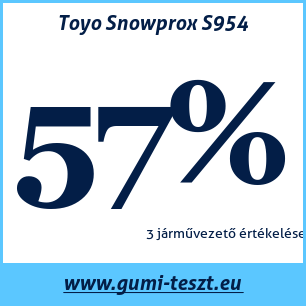 Téli gumi teszt Toyo Snowprox S954