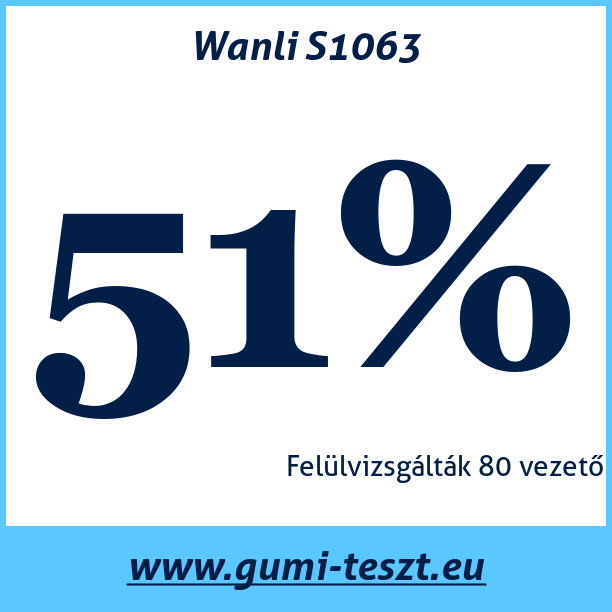 Test pneumatik Wanli S1063